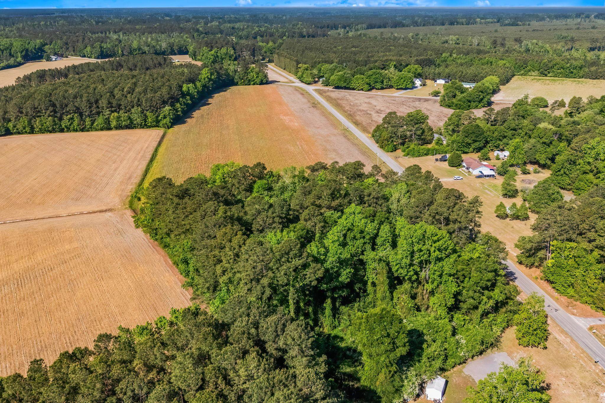 Tbd Ray Road Hemingway, SC 29554 - Photo 13 of 24