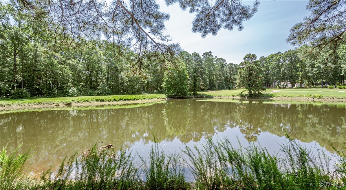 3104 3 Bridges Road Midlothian, VA 23112 - Photo 45 of 50