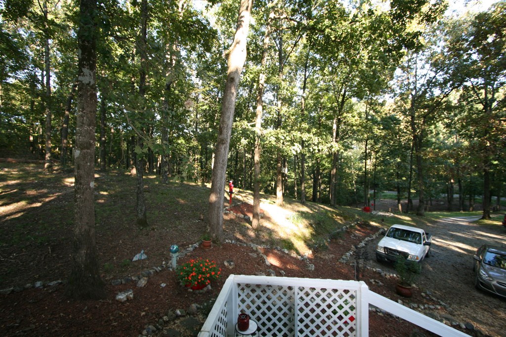 1645 Oak Grove Road Southwest Calhoun, GA 30701 - Photo 9 of 45 Gallery Image 9