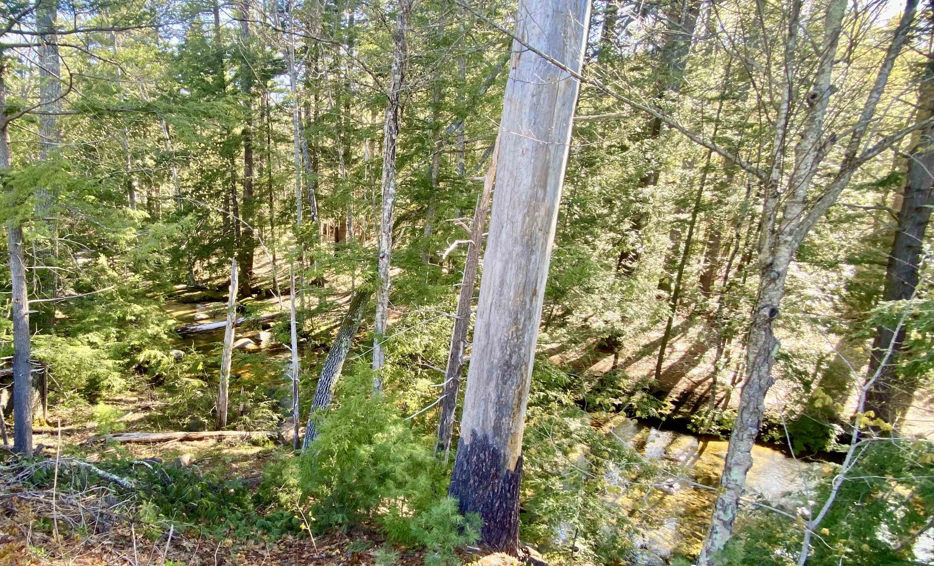 734 Kearsarge Road, Unit 5 Conway, NH 03845 - Photo 30 of 36