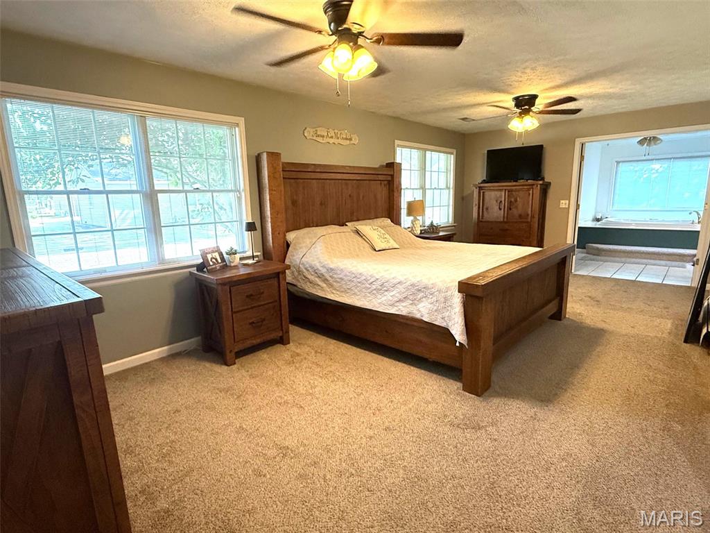 290 North Elm Street Breese, IL 62230 - Photo 47 of 65