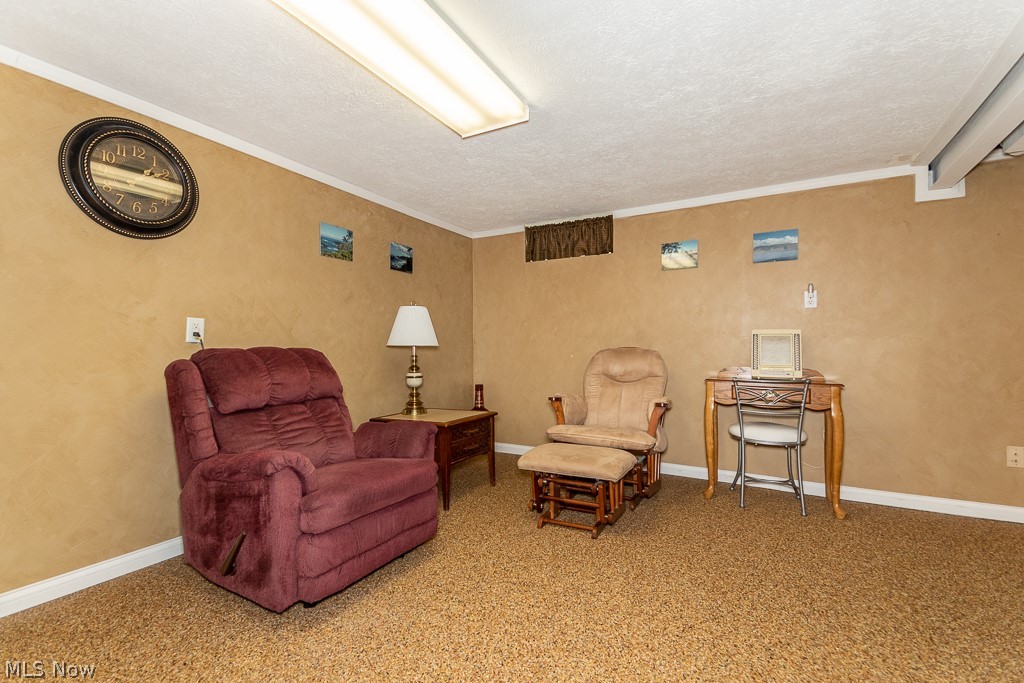 30116 Forestgrove Road Willowick, OH 44095 - Photo 21 of 33 Finished Basement