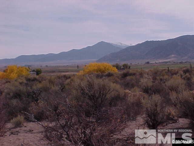 251 Artist View Road Wellington, NV 89444 - Photo 1 of 1 Photo 1