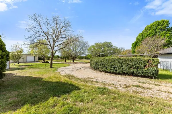 a view of yard with tree