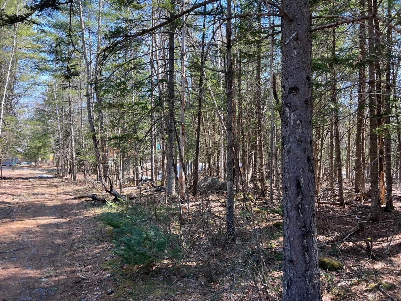 805 Carthage Road Carthage, ME 04224 - Photo 13 of 49 thumbnail_IMG_6915