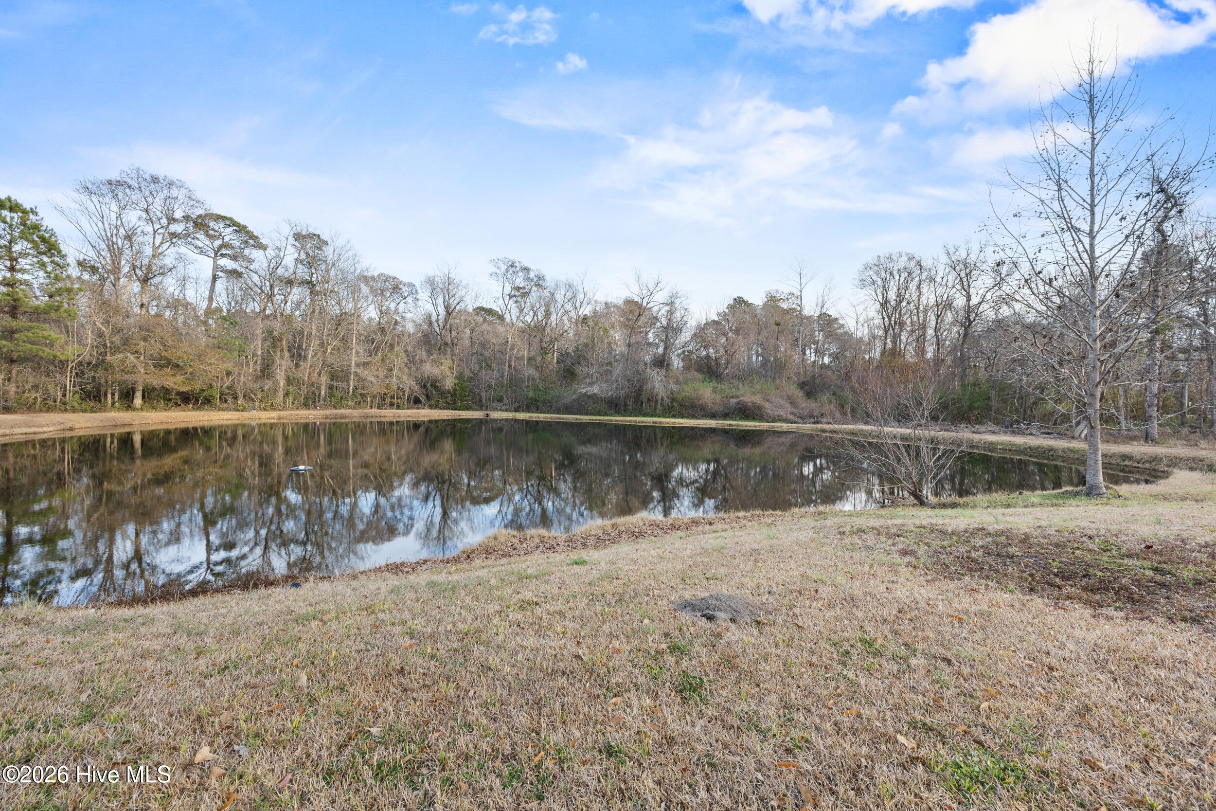1460 Midway Road Southeast Bolivia, NC 28422 - Photo 23 of 23 23_pond