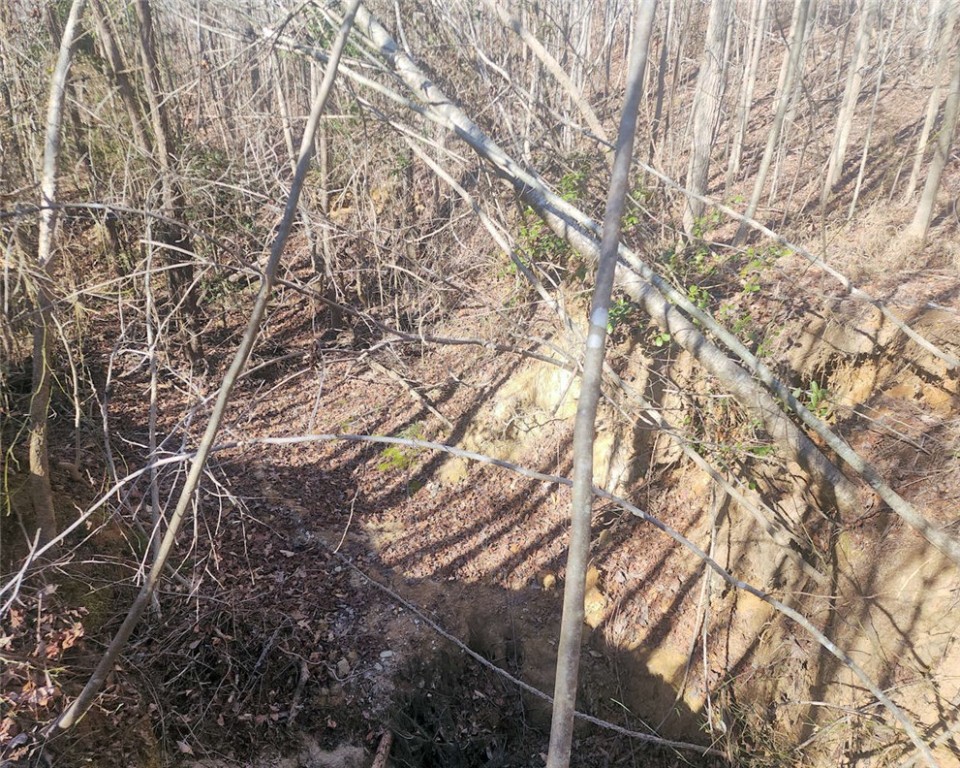 0 Holliday Dam Road Belton, SC 29627 - Photo 11 of 19