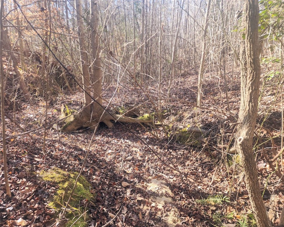 0 Holliday Dam Road Belton, SC 29627 - Photo 13 of 19