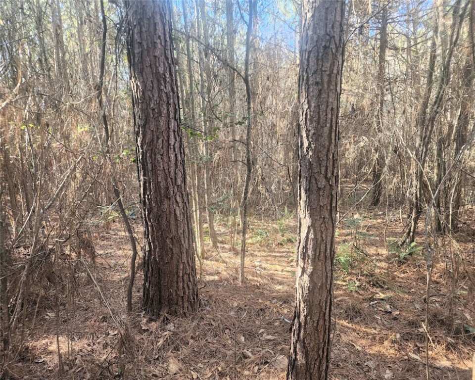 0 Holliday Dam Road Belton, SC 29627 - Photo 16 of 19