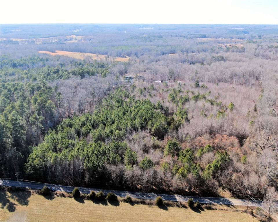 0 Holliday Dam Road Belton, SC 29627 - Photo 18 of 19
