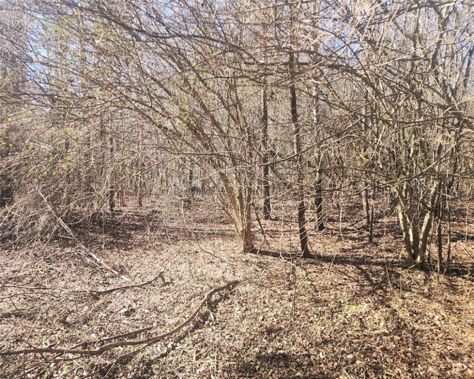 0 Holliday Dam Road Belton, SC 29627 - Photo 5 of 19