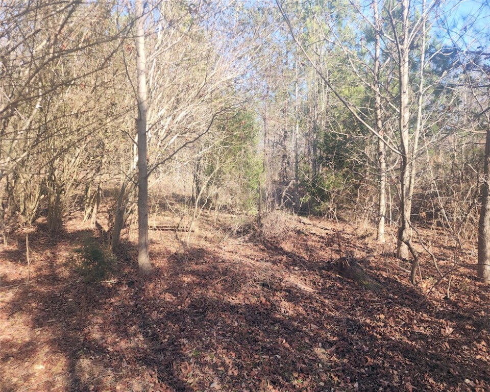 0 Holliday Dam Road Belton, SC 29627 - Photo 6 of 19