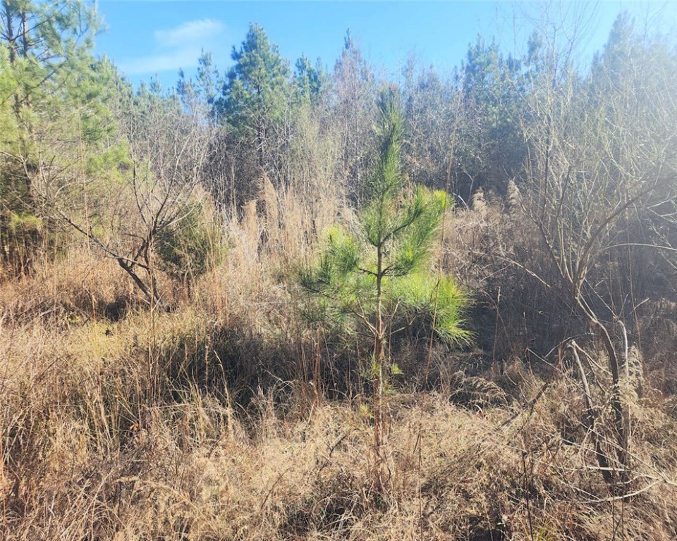 0 Holliday Dam Road Belton, SC 29627 - Photo 7 of 19