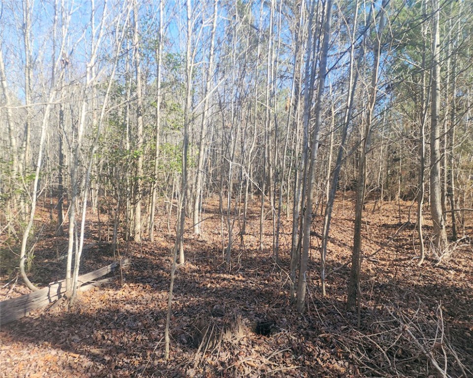 0 Holliday Dam Road Belton, SC 29627 - Photo 9 of 19