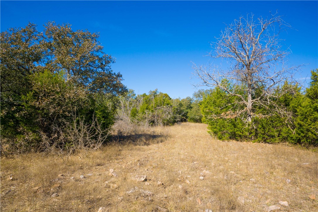 1120 Lightning Ranch Road Georgetown, TX 78628 - Photo 1 of 1 Gallery Image 1