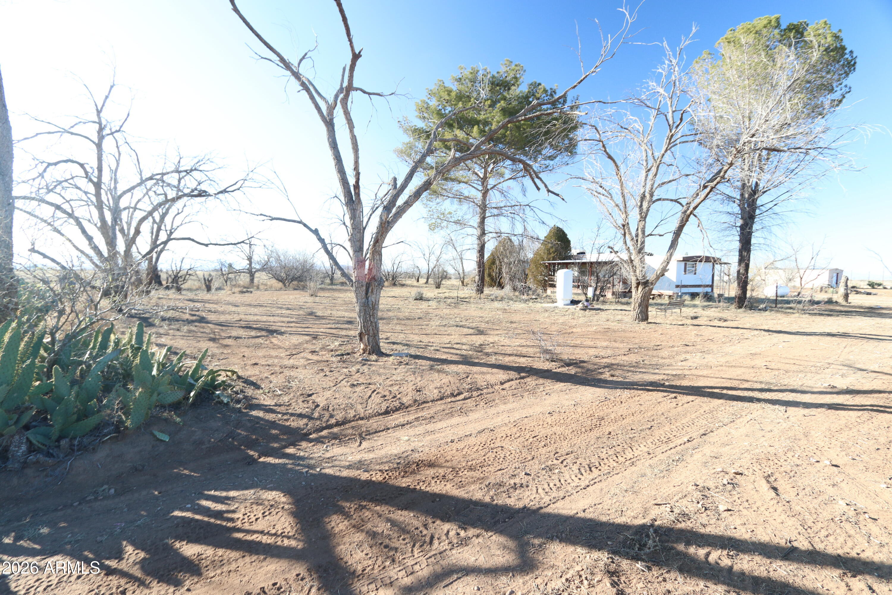 6286 East Mockingbird Road, Unit 8 Pearce, AZ 85625 - Photo 21 of 28 a view of dirt yard with a large tree