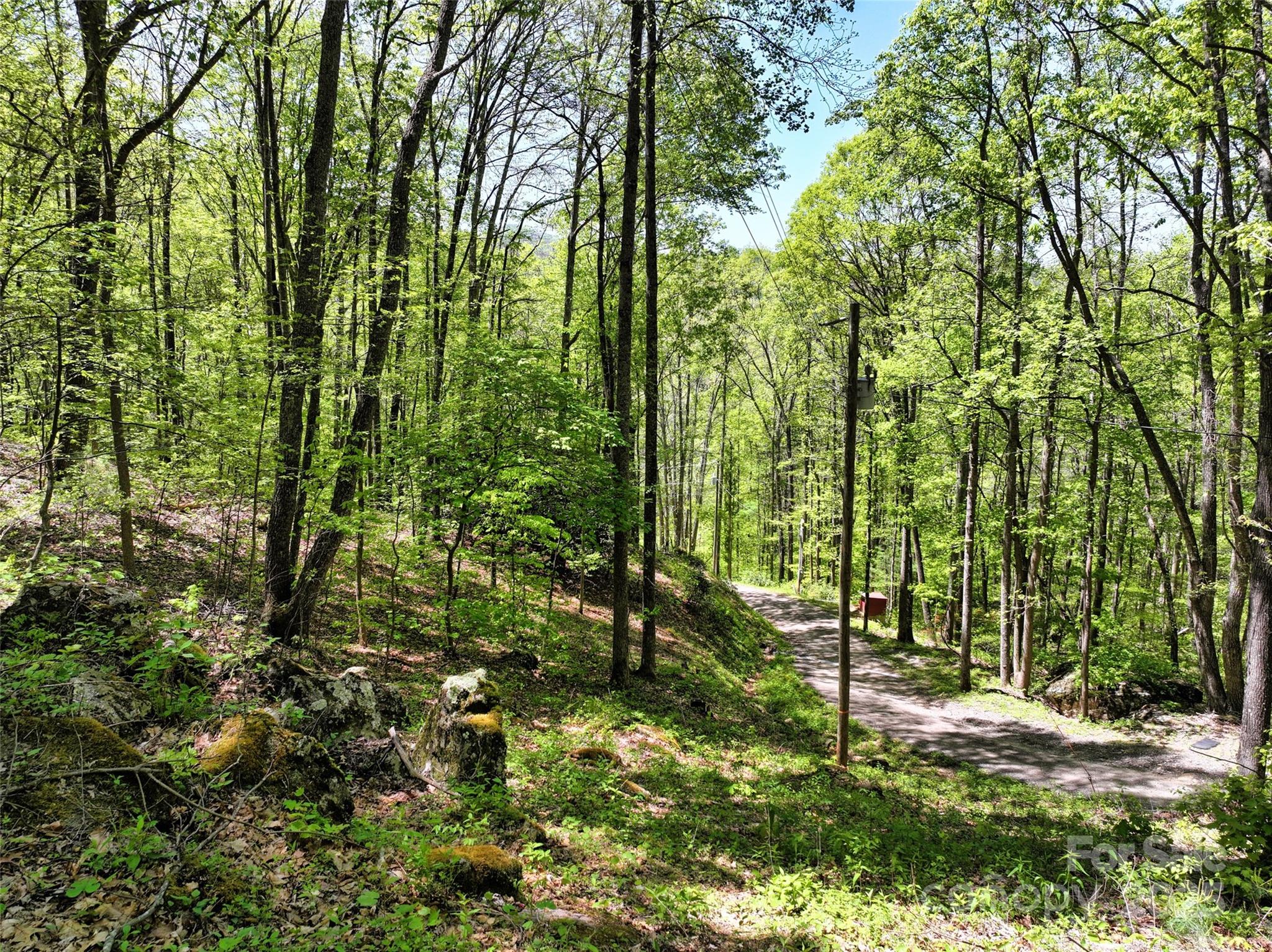 99999 Anderson Cove Road Barnardsville, NC 28709 - Photo 26 of 36