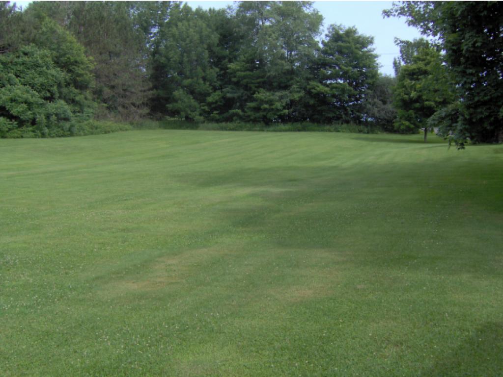 752 South Randolph Road Randolph, VT 05061 - Photo 4 of 20