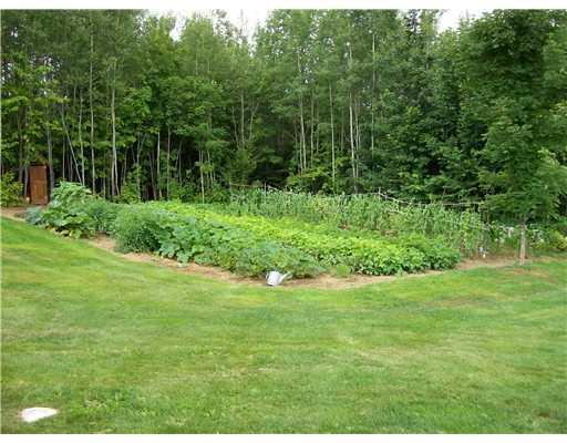 999999 Mt Blue Pond Road Avon, ME 04966 - Photo 8 of 25 Yard/Garden.