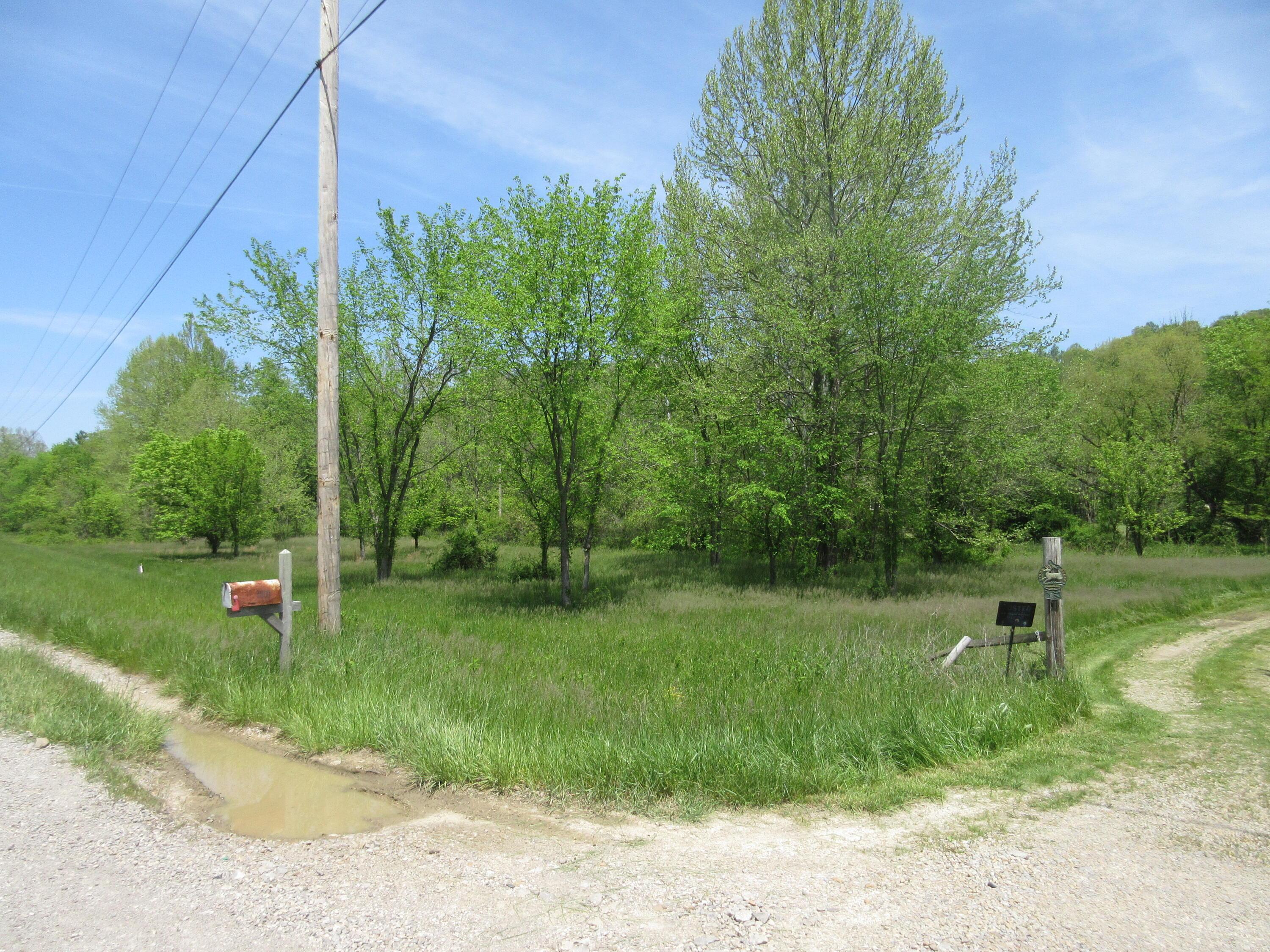 6800 Center Road Philo, OH 43771 - Photo 4 of 29 IMG_9071