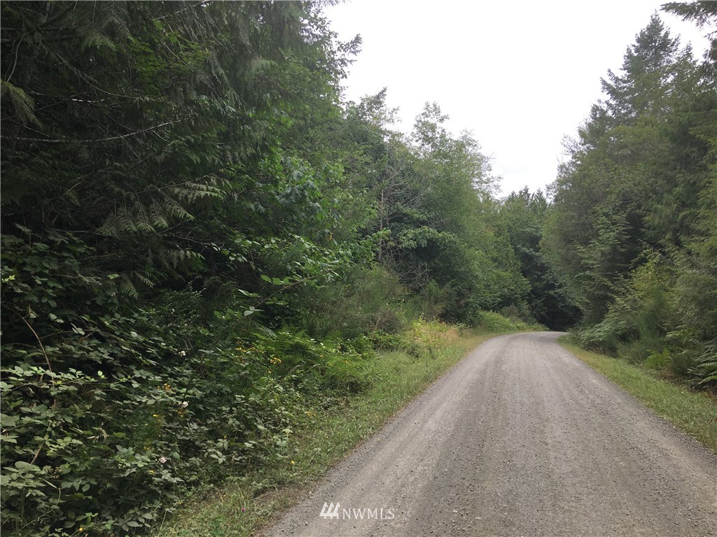 1515 Sunrise Road Brinnon, WA 98320 - Photo 2 of 3 Gallery Image 2