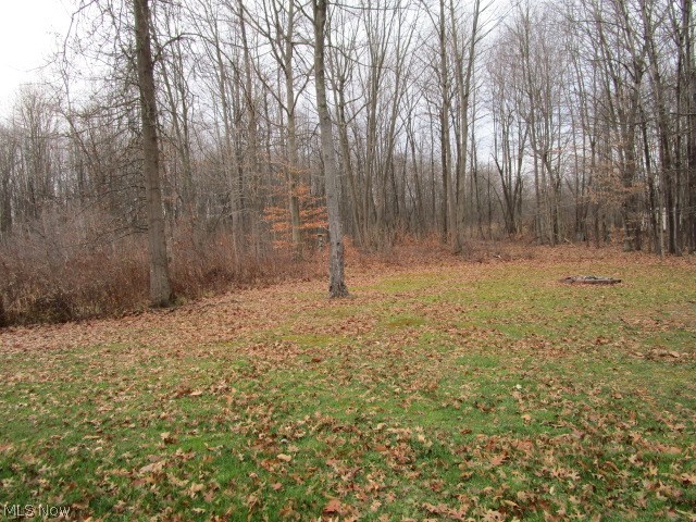 5933 Mechanicsville Road Rome, OH 44085 - Photo 12 of 25