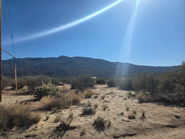 a view of a dry yard with mountains in the background