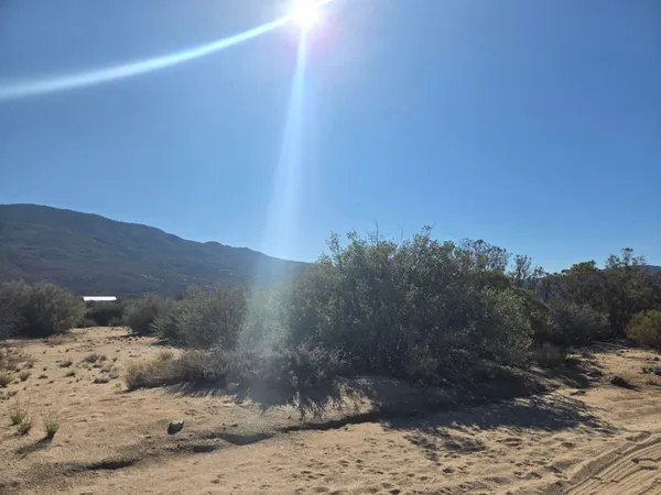 a view of a yard with a snow in the background