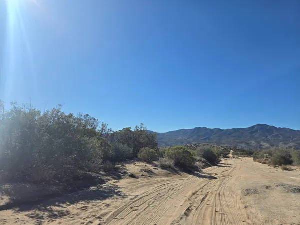 a view of a dry yard with mountains in the background
