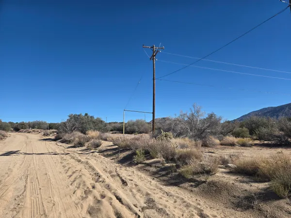 a view of a dry yard with wooden fence