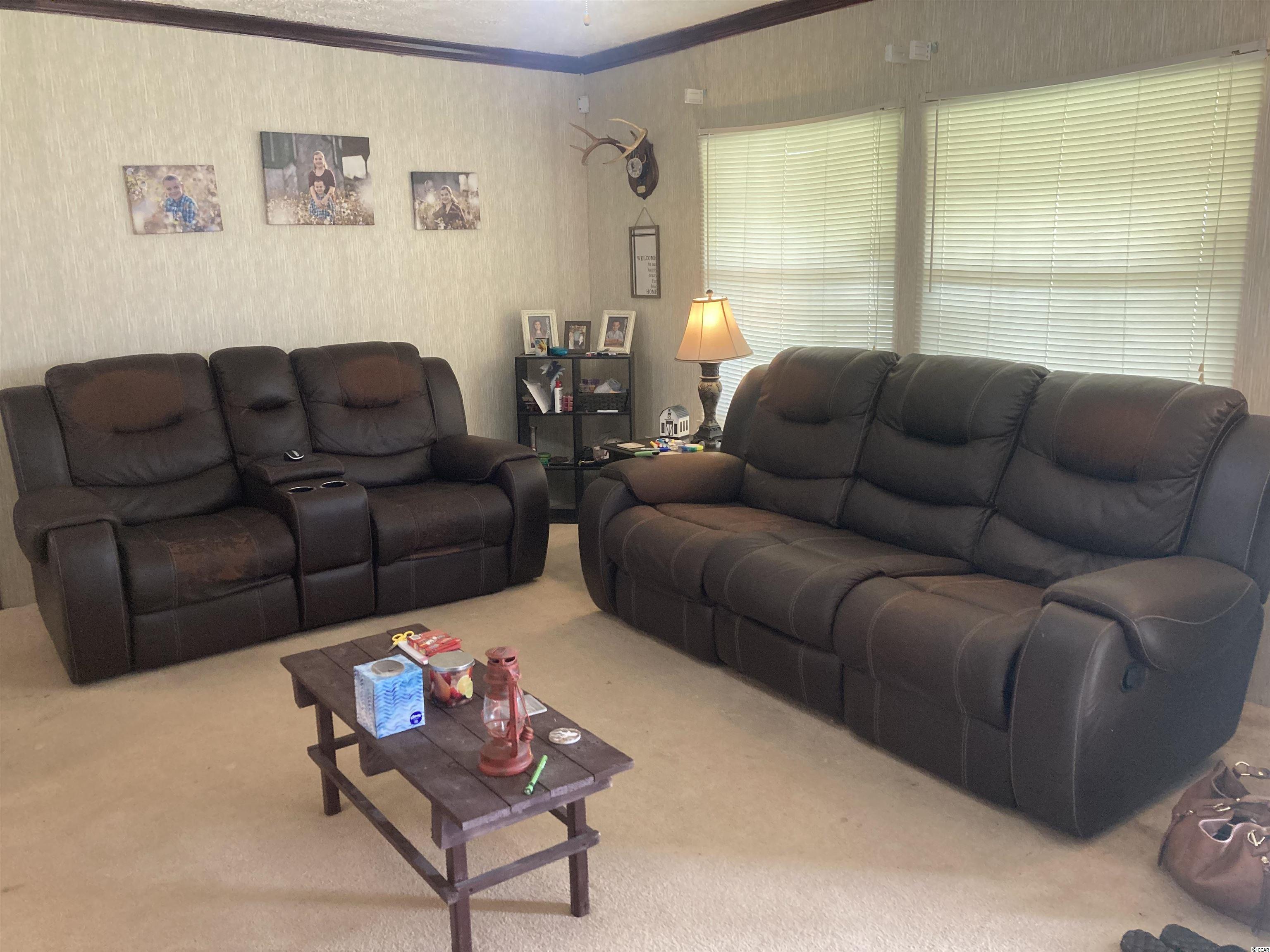 1108 Thompson Road Hemingway, SC 29554 - Photo 3 of 20