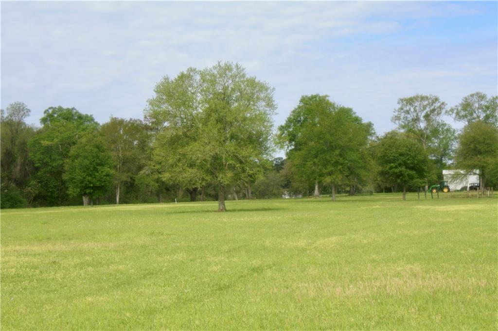83472 North Factory Road Folsom, LA 70437 - Photo 18 of 37 Gallery Image 18