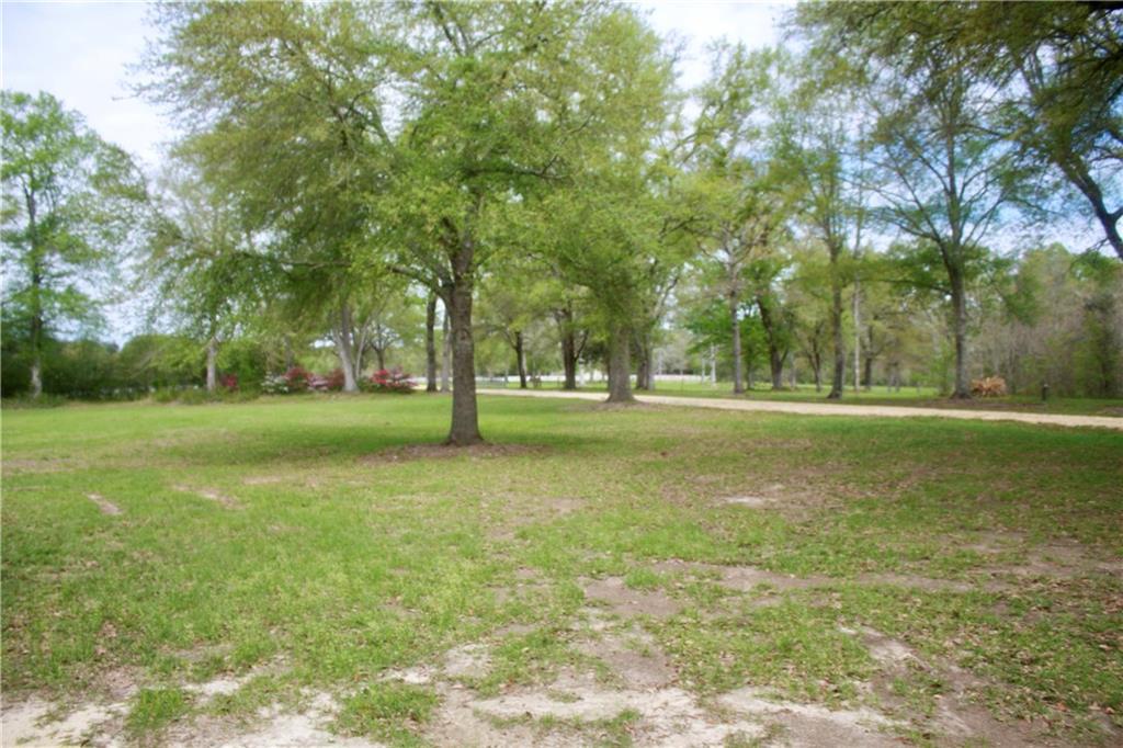 83472 North Factory Road Folsom, LA 70437 - Photo 23 of 37 Gallery Image 23