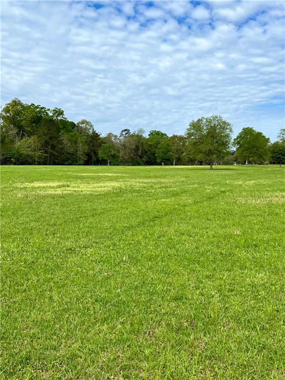 83472 North Factory Road Folsom, LA 70437 - Photo 9 of 37 Gallery Image 9