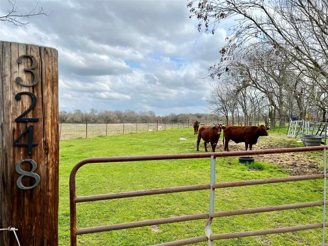 a view of a back yard