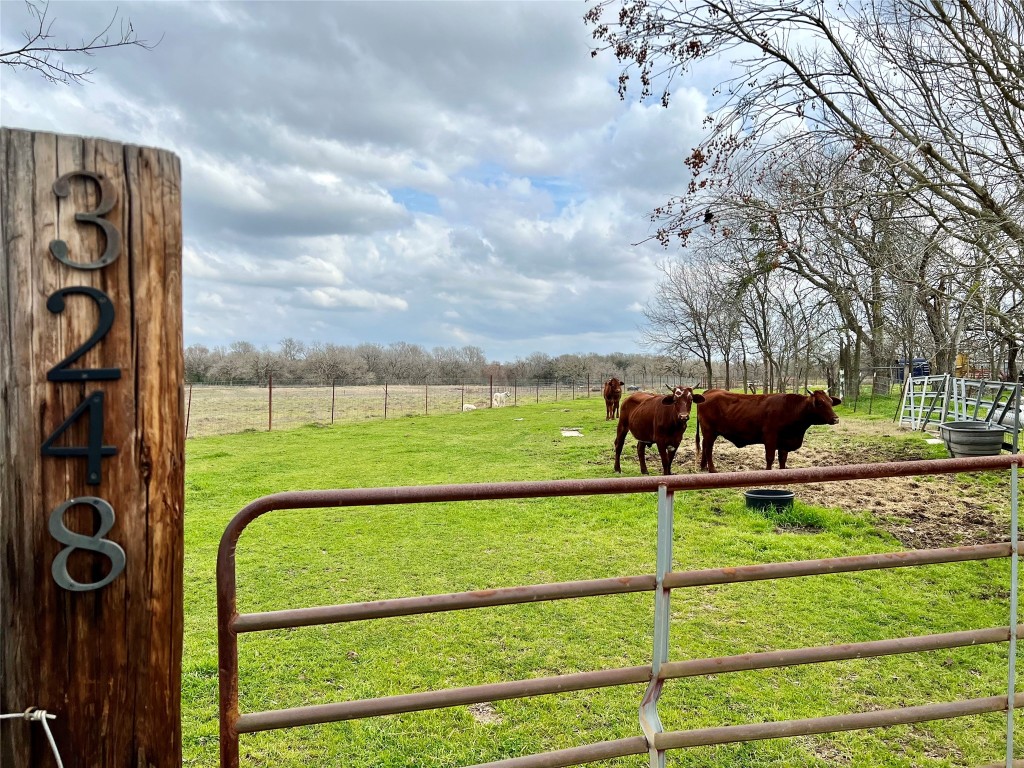 a view of a back yard