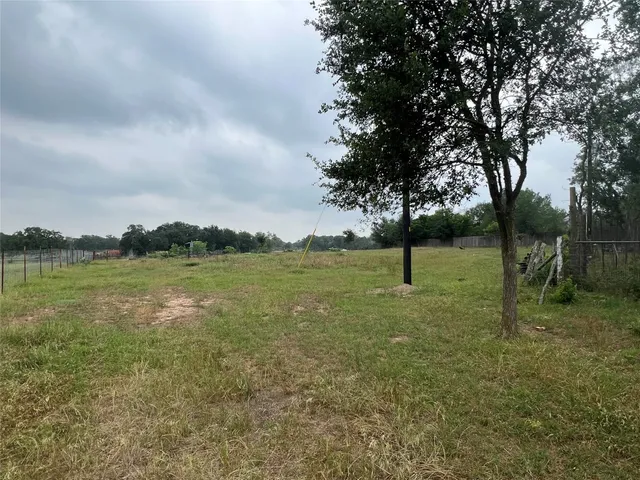 a view of a garden with a tree