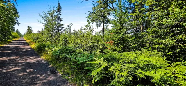 $55,000 | Tuscobia Trail Park Falls, Park Falls, WI 54552