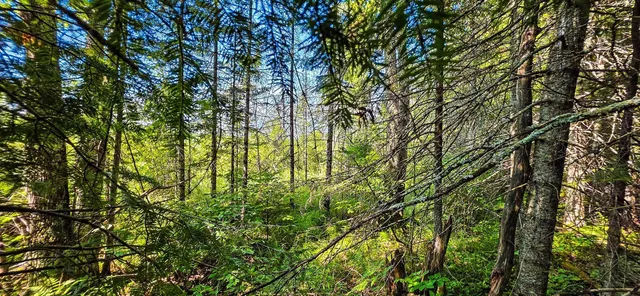 $55,000 | Tuscobia Trail Park Falls, Park Falls, WI 54552