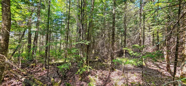 $55,000 | Tuscobia Trail Park Falls, Park Falls, WI 54552