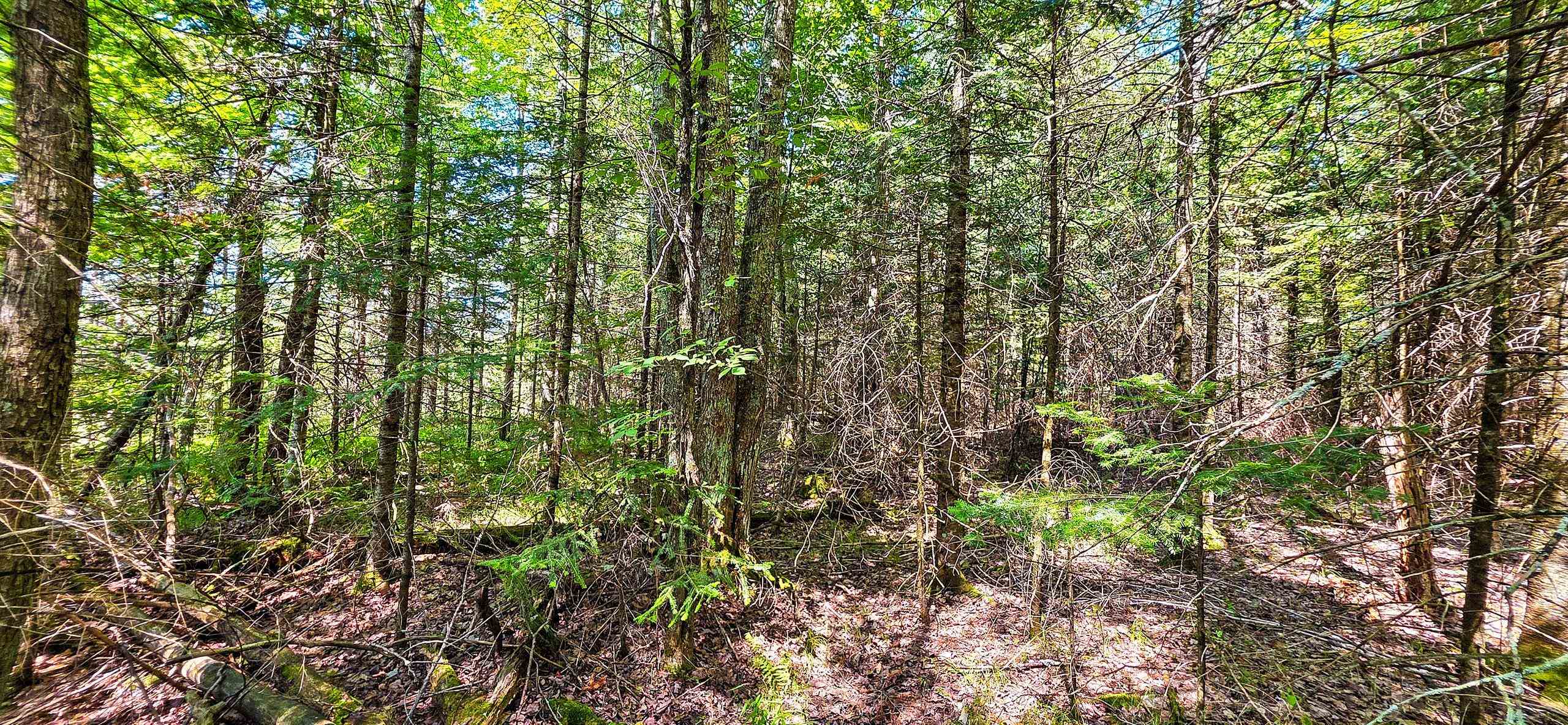 Tuscobia Trail Park Falls Park Falls, WI 54552 - Photo 4 of 14