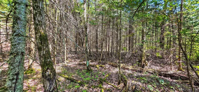 $55,000 | Tuscobia Trail Park Falls, Park Falls, WI 54552