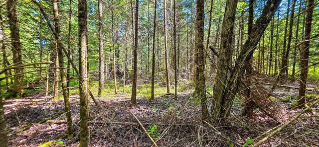 $55,000 | Tuscobia Trail Park Falls, Park Falls, WI 54552