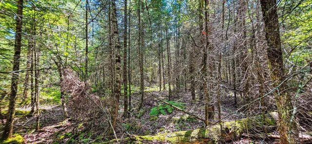 $55,000 | Tuscobia Trail Park Falls, Park Falls, WI 54552