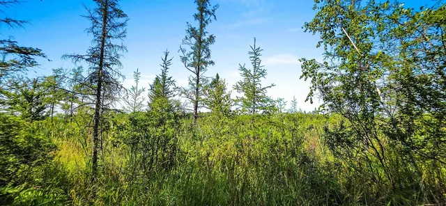 $55,000 | Tuscobia Trail Park Falls, Park Falls, WI 54552