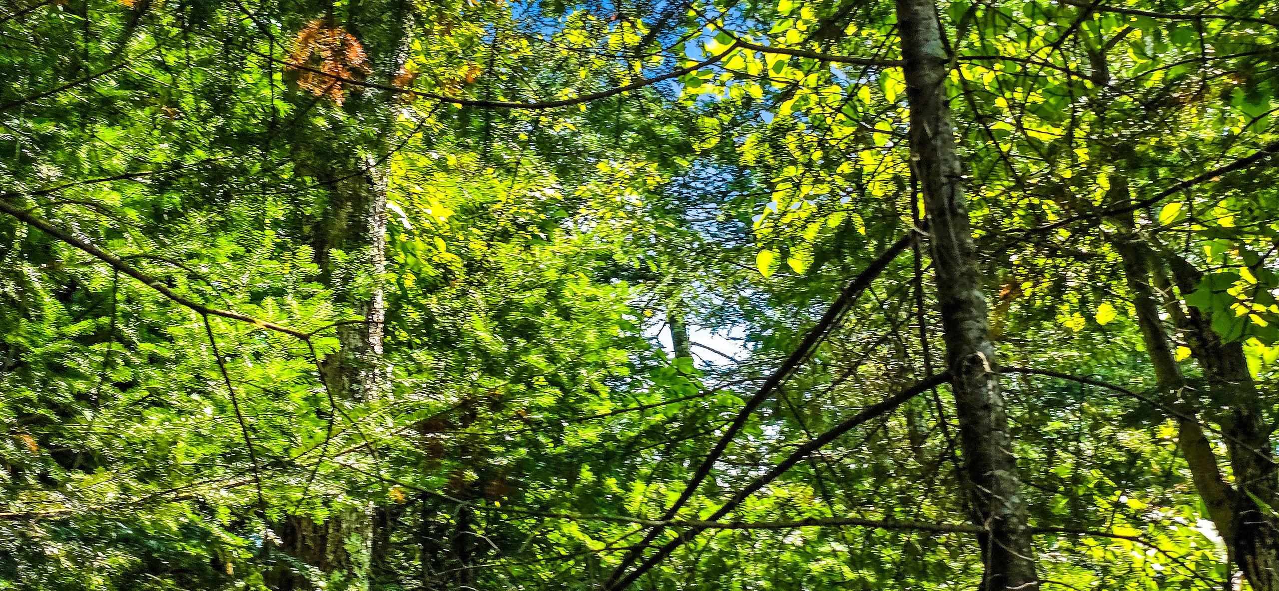 Tuscobia Trail Park Falls Park Falls, WI 54552 - Photo 9 of 14