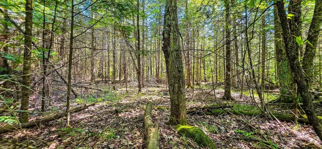 $55,000 | Tuscobia Trail Park Falls, Park Falls, WI 54552