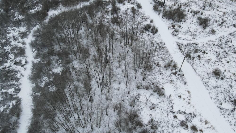 78.5-acres Alabaster Road Tawas City, MI 48763 - Photo 12 of 91 DJI_0442