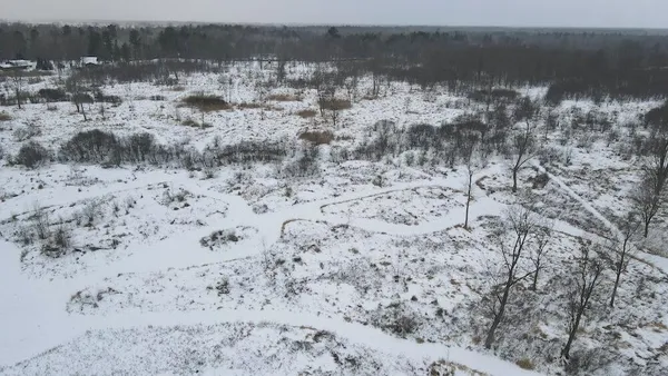 $274,900 | 78.5-acres Alabaster Road, Tawas City, MI 48763