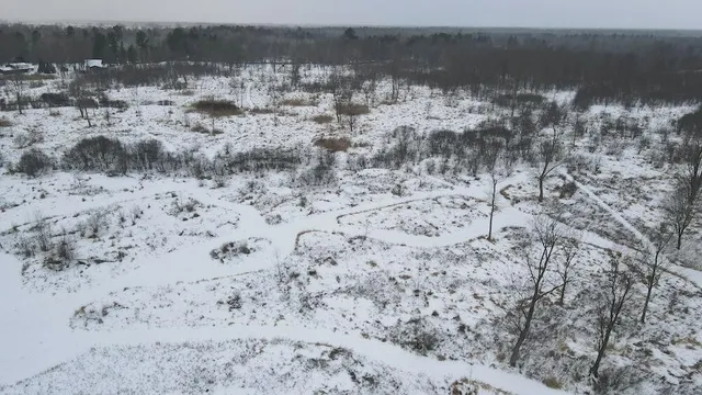 $274,900 | 78.5-acres Alabaster Road, Tawas City, MI 48763